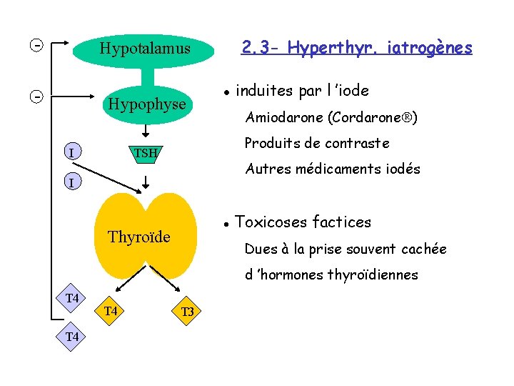 - 2. 3 - Hyperthyr. iatrogènes Hypotalamus - Hypophyse I l induites par l