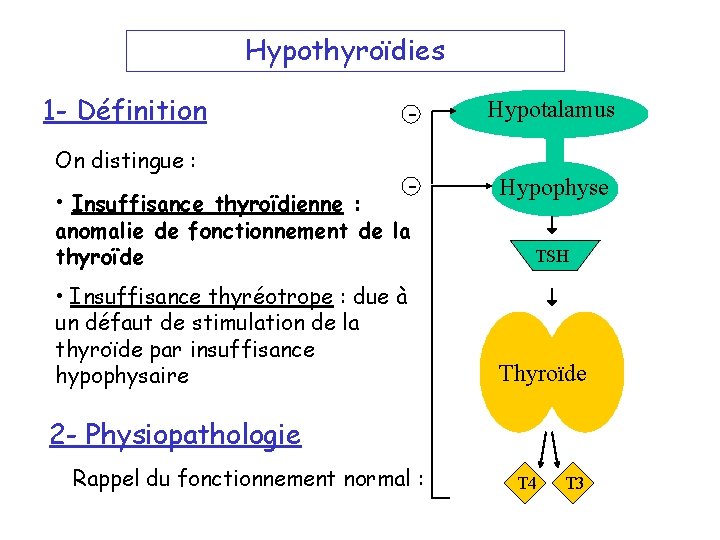 Hypothyroïdies 1 - Définition On distingue : • Insuffisance thyroïdienne : - Hypotalamus -