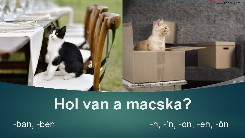 www. freepik. com Hol van a macska? -ban, -ben -n, -’n, -on, -en, -ön