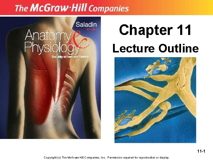 Chapter 11 Lecture Outline 11 -1 Copyright (c) The Mc. Graw-Hill Companies, Inc. Permission