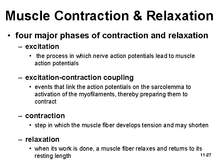 Muscle Contraction & Relaxation • four major phases of contraction and relaxation – excitation