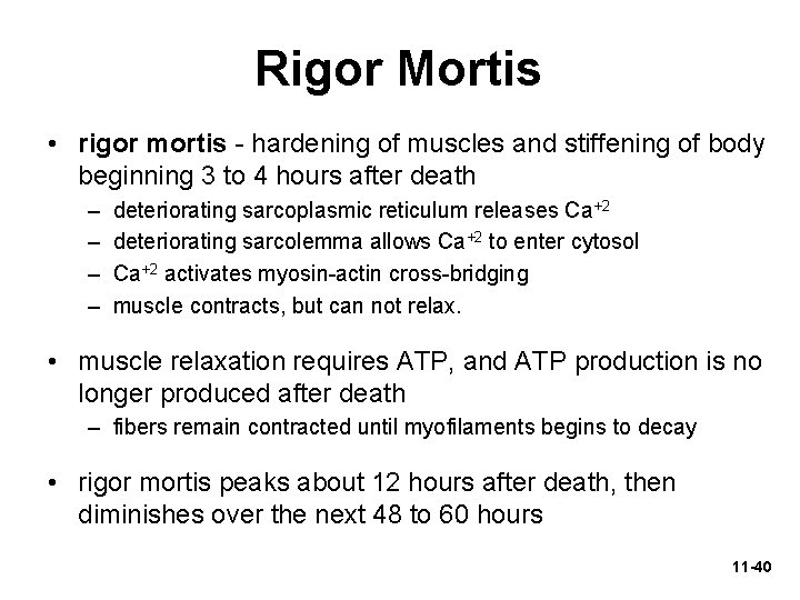 Rigor Mortis • rigor mortis - hardening of muscles and stiffening of body beginning