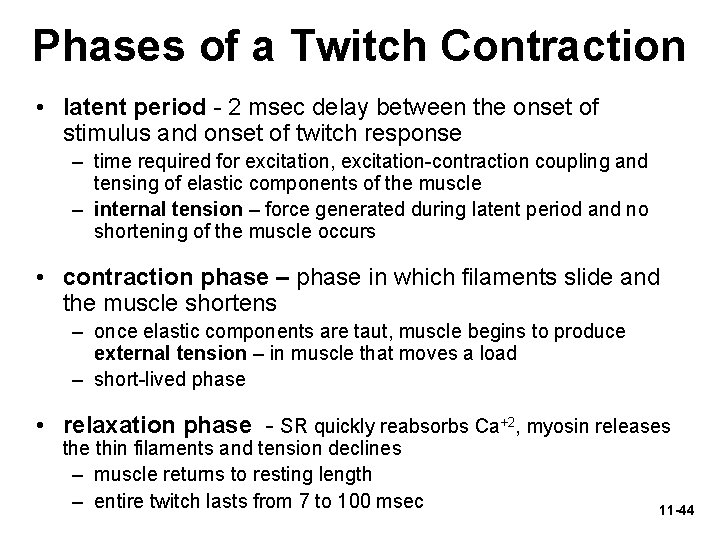 Phases of a Twitch Contraction • latent period - 2 msec delay between the