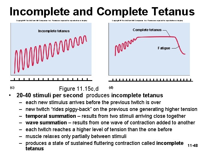 Incomplete and Complete Tetanus Copyright © The Mc. Graw-Hill Companies, Inc. Permission required for