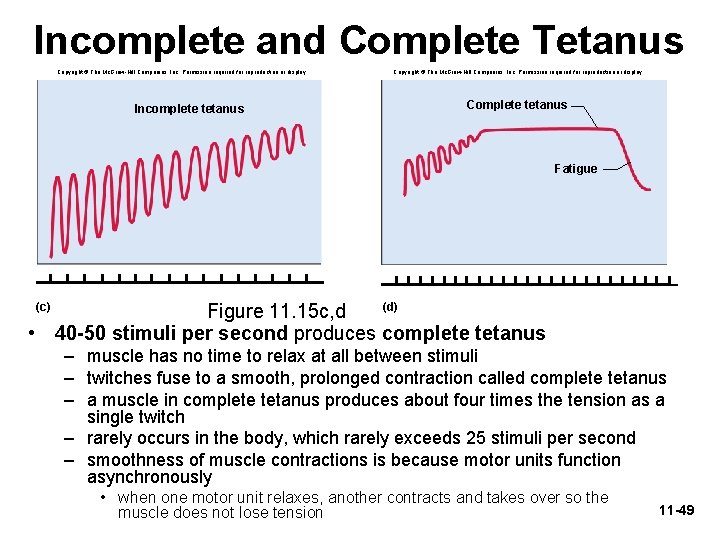 Incomplete and Complete Tetanus Copyright © The Mc. Graw-Hill Companies, Inc. Permission required for