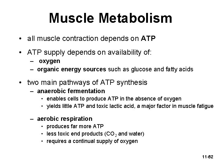 Muscle Metabolism • all muscle contraction depends on ATP • ATP supply depends on