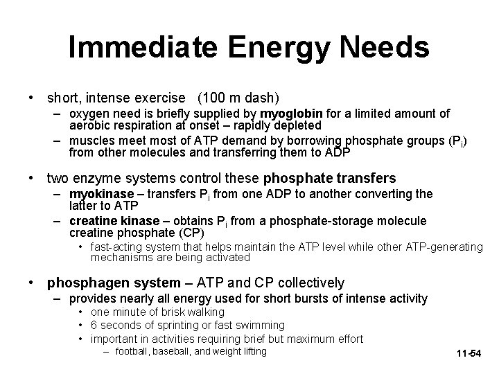 Immediate Energy Needs • short, intense exercise (100 m dash) – oxygen need is
