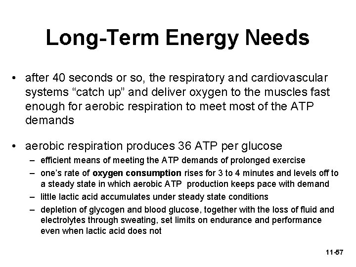 Long-Term Energy Needs • after 40 seconds or so, the respiratory and cardiovascular systems