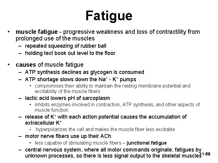 Fatigue • muscle fatigue - progressive weakness and loss of contractility from prolonged use