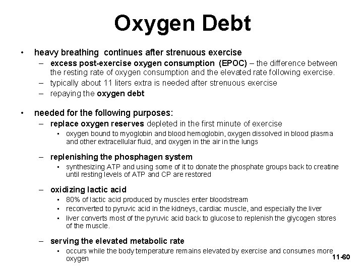 Oxygen Debt • heavy breathing continues after strenuous exercise – excess post-exercise oxygen consumption