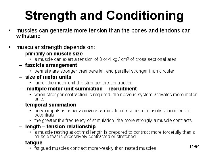 Strength and Conditioning • muscles can generate more tension than the bones and tendons