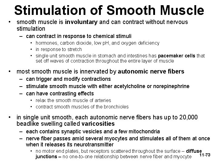 Stimulation of Smooth Muscle • smooth muscle is involuntary and can contract without nervous