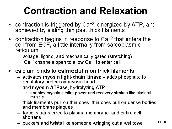 Contraction and Relaxation • contraction is triggered by Ca+2, energized by ATP, and achieved