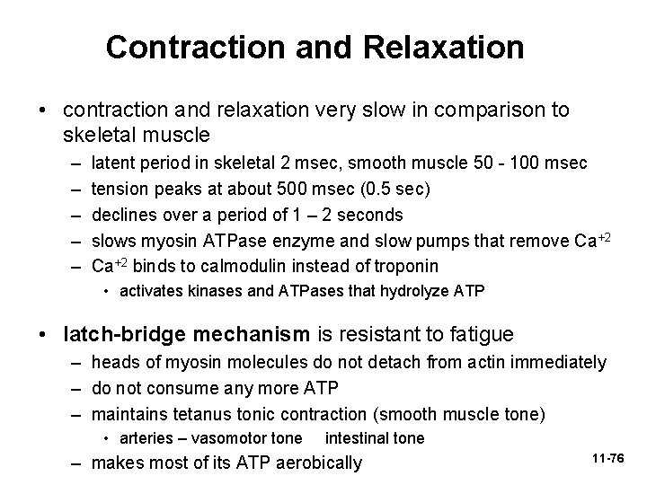 Contraction and Relaxation • contraction and relaxation very slow in comparison to skeletal muscle