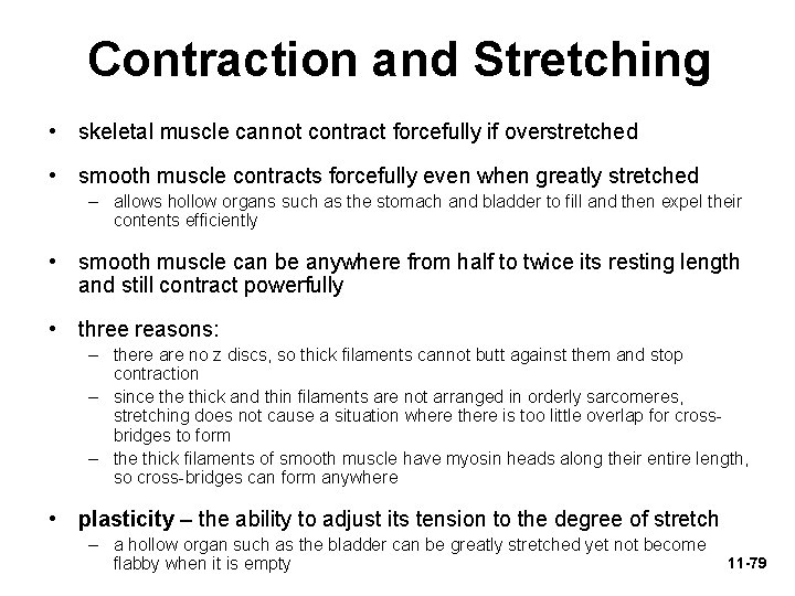 Contraction and Stretching • skeletal muscle cannot contract forcefully if overstretched • smooth muscle