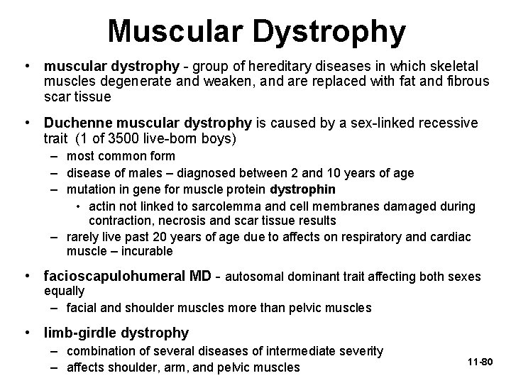 Muscular Dystrophy • muscular dystrophy - group of hereditary diseases in which skeletal muscles