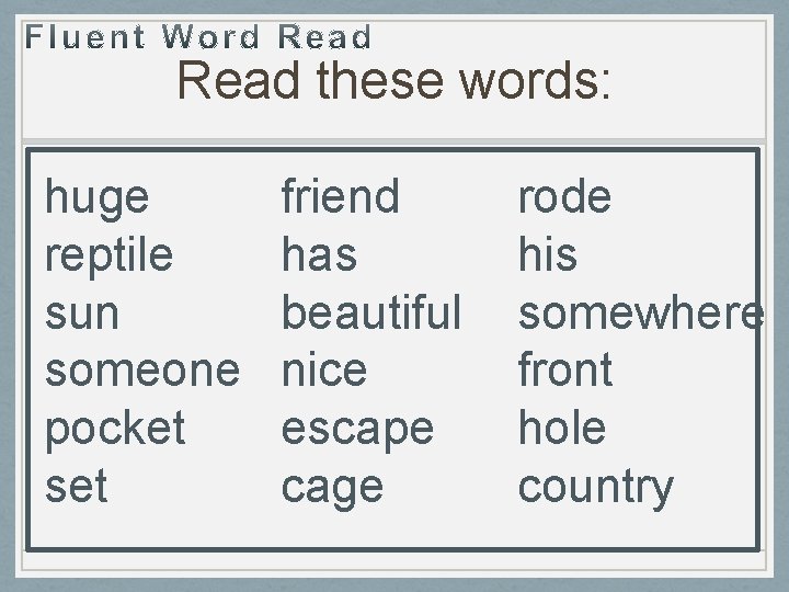 Read these words: huge reptile sun someone pocket set friend has beautiful nice escape