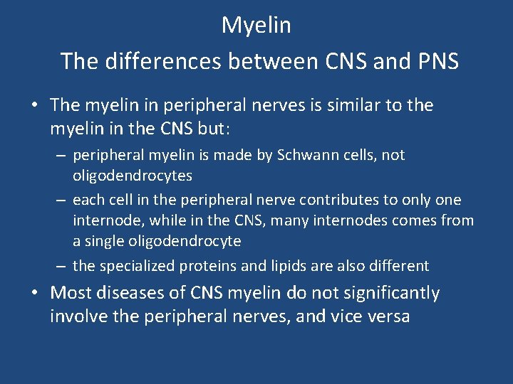 Myelin The differences between CNS and PNS • The myelin in peripheral nerves is