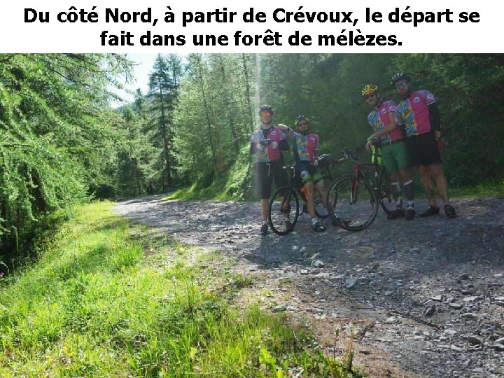 Du côté Nord, à partir de Crévoux, le départ se fait dans une forêt