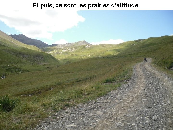 Et puis, ce sont les prairies d’altitude. 