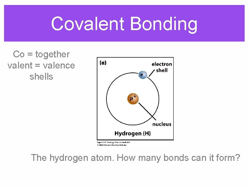 Covalent Bonding Co = together valent = valence shells The hydrogen atom. How many