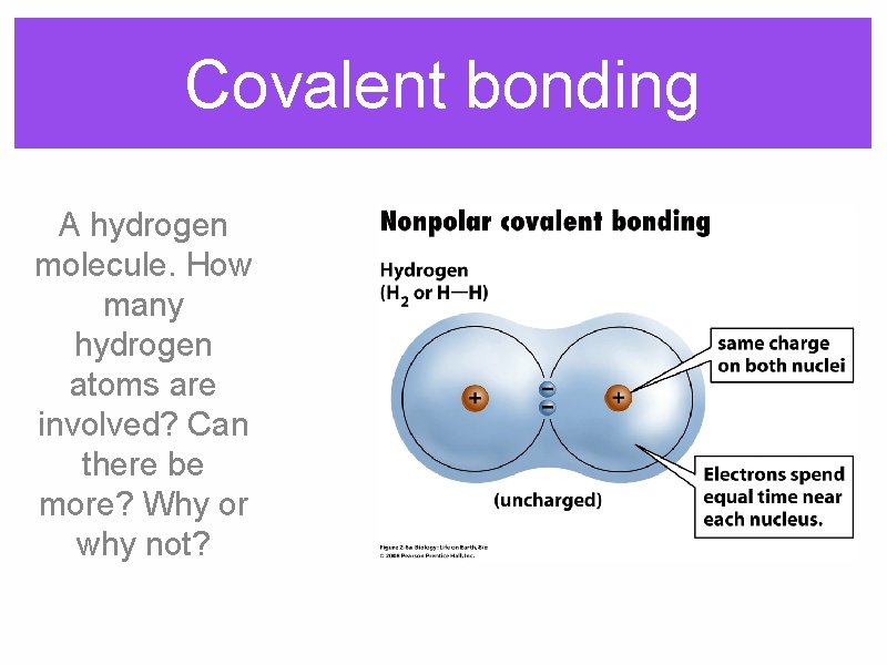 Covalent bonding A hydrogen molecule. How many hydrogen atoms are involved? Can there be