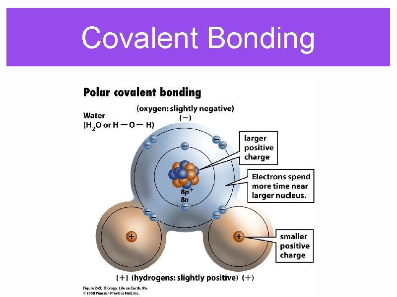 Covalent Bonding 