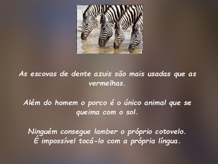 As escovas de dente azuis são mais usadas que as vermelhas. Além do homem