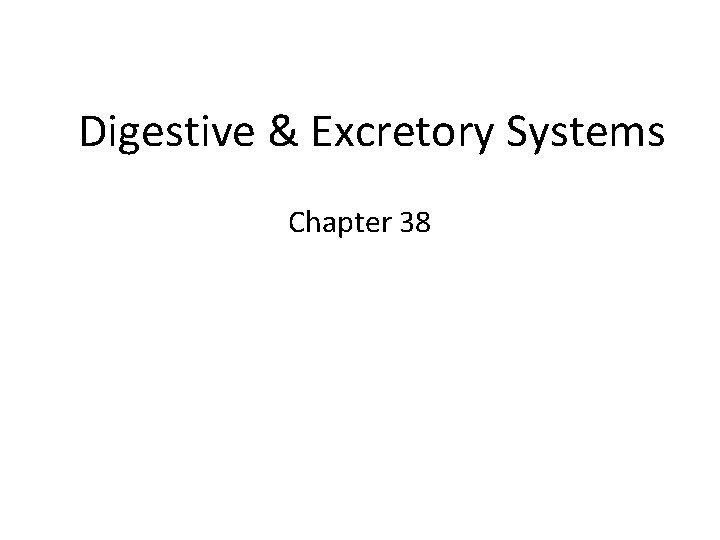 Digestive & Excretory Systems Chapter 38 