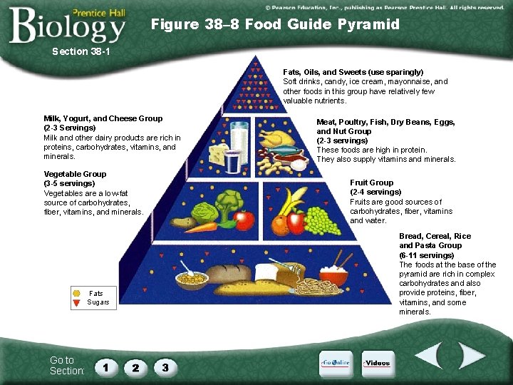 Figure 38– 8 Food Guide Pyramid Section 38 -1 Fats, Oils, and Sweets (use