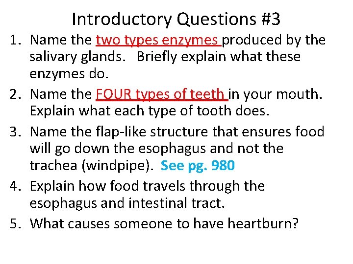 Introductory Questions #3 1. Name the two types enzymes produced by the salivary glands.