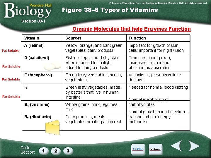 Figure 38– 6 Types of Vitamins Section 38 -1 Organic Molecules that help Enzymes