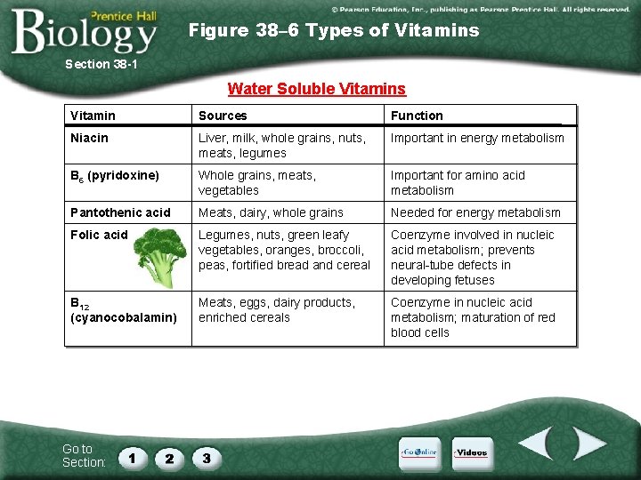 Figure 38– 6 Types of Vitamins Section 38 -1 Water Soluble Vitamins Vitamin Sources