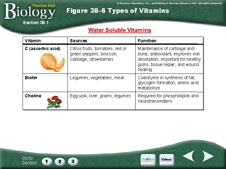 Figure 38– 6 Types of Vitamins Section 38 -1 Vitamin Sources Function C (ascorbic