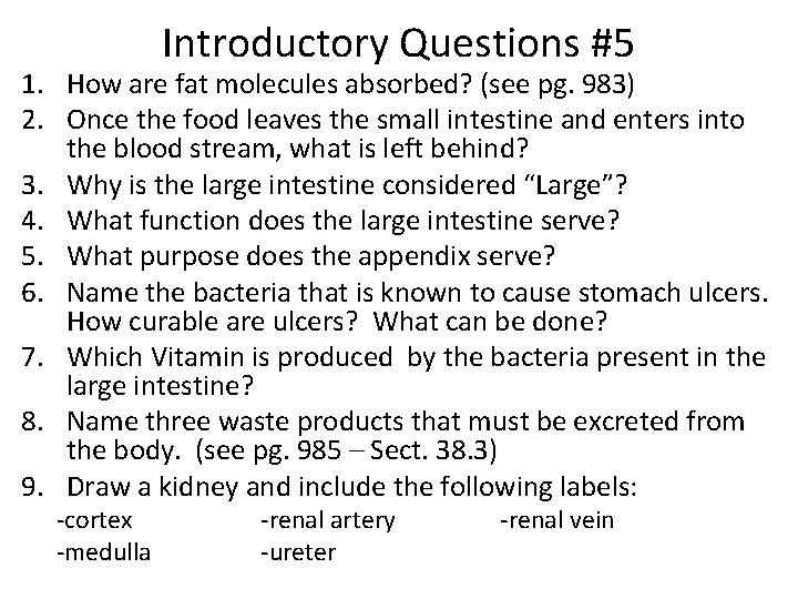 Introductory Questions #5 1. How are fat molecules absorbed? (see pg. 983) 2. Once
