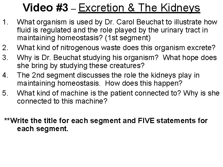 Video #3 – Excretion & The Kidneys 1. 2. 3. 4. 5. What organism