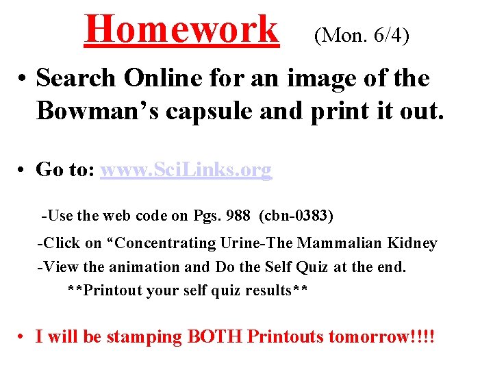 Homework (Mon. 6/4) • Search Online for an image of the Bowman’s capsule and
