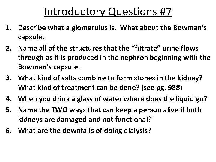 Introductory Questions #7 1. Describe what a glomerulus is. What about the Bowman’s capsule.