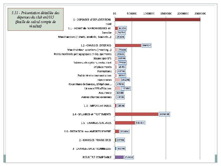 3. 51 - Présentation détaillée des dépenses du club en 2015 (feuille de calcul