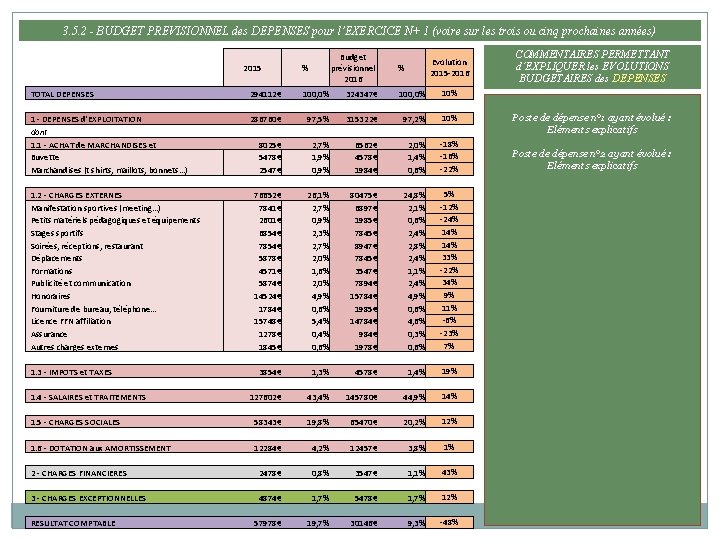 3. 5. 2 - BUDGET PREVISIONNEL des DEPENSES pour l’EXERCICE N+ 1 (voire sur