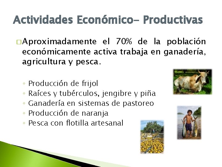 Actividades Económico- Productivas � Aproximadamente el 70% de la población económicamente activa trabaja en