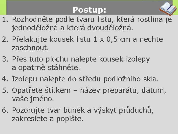 Postup: 1. Rozhodněte podle tvaru listu, která rostlina je jednoděložná a která dvouděložná. 2.