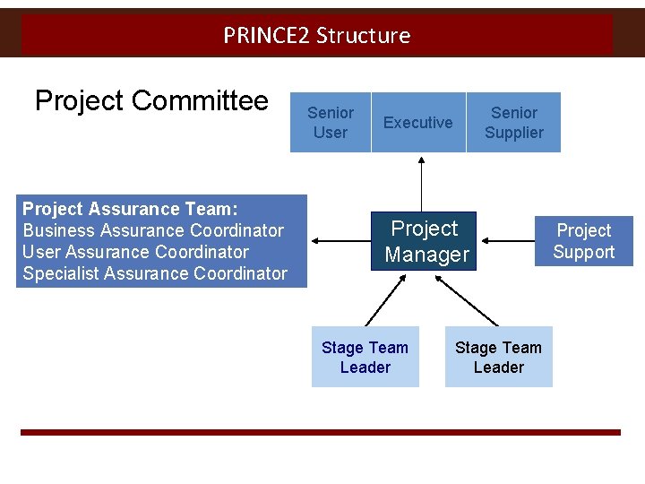 PRINCE 2 Structure Project Committee Project Assurance Team: Business Assurance Coordinator User Assurance Coordinator