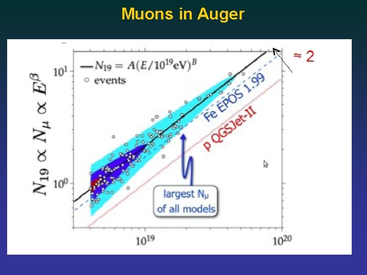 Muons in Auger 