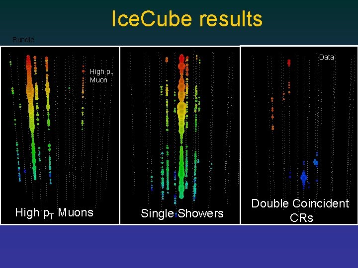 Ice. Cube results Bundle Data High p. T Muons Single Showers Double Coincident CRs