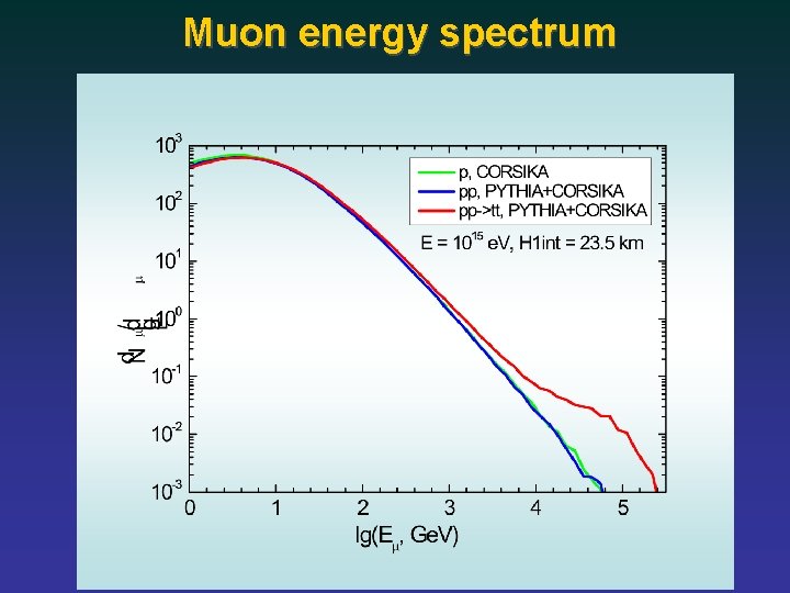 Muon energy spectrum 