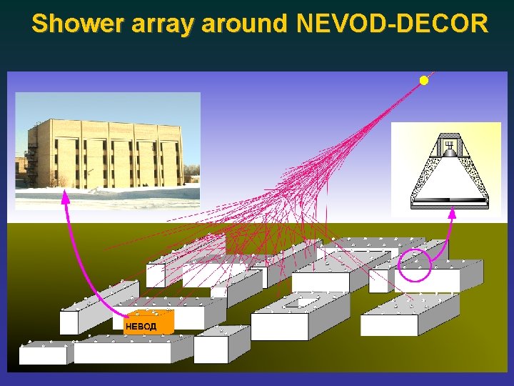 Shower array around NEVOD-DECOR 