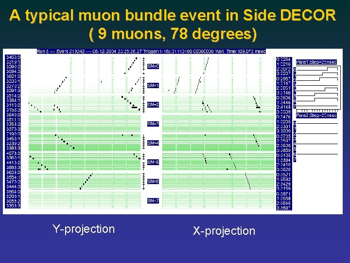 A typical muon bundle event in Side DECOR ( 9 muons, 78 degrees) Y-projection