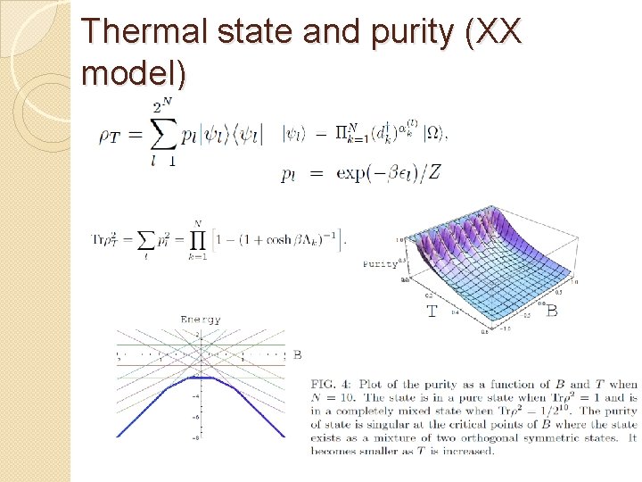 Thermal state and purity (XX model) 