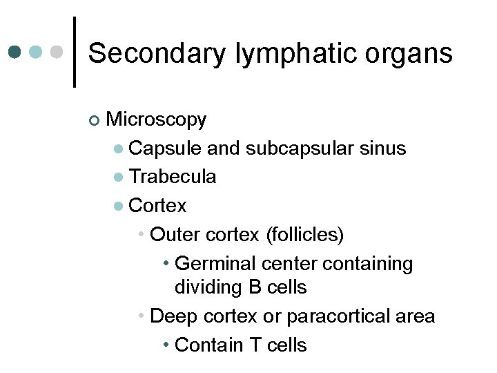 Secondary lymphatic organs ¢ Microscopy l Capsule and subcapsular sinus l Trabecula l Cortex